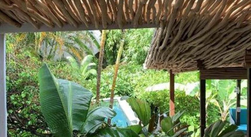 Bamboojam Villa Las Terrenas Bagian luar foto