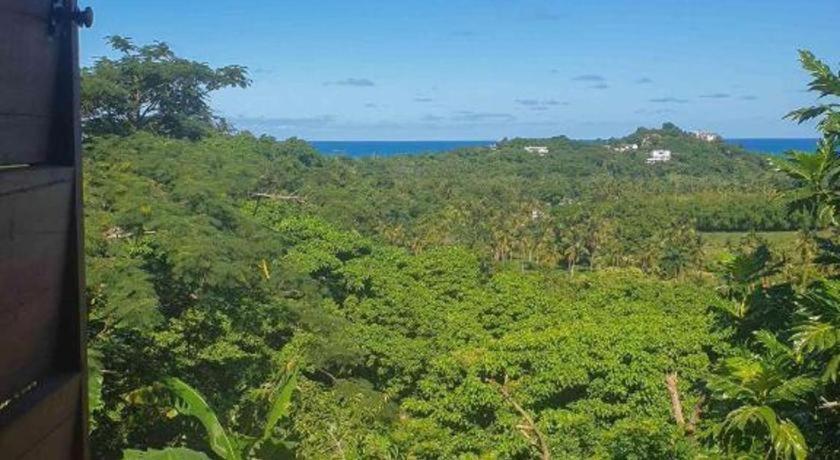 Bamboojam Villa Las Terrenas Bagian luar foto